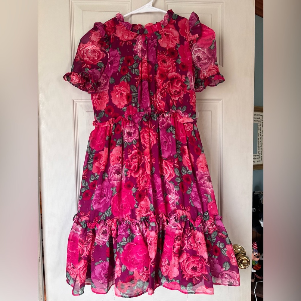 Wonder Nation NWT Dress Size 12 Special Occasion Rose and Peony Pattern